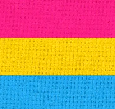 Omnisexualität, Artikelbild