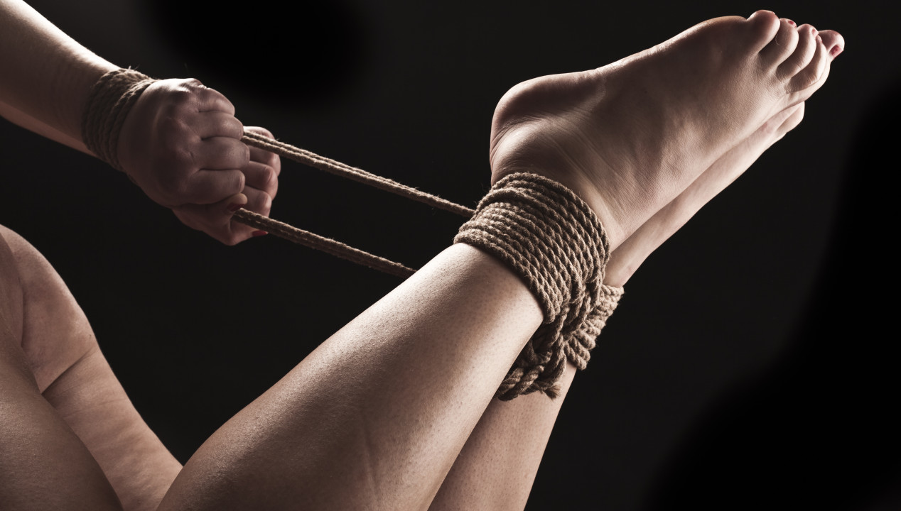 Hogtie, Artikelbild