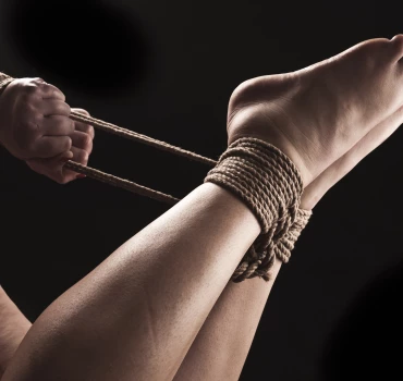 Hogtie, Artikelbild