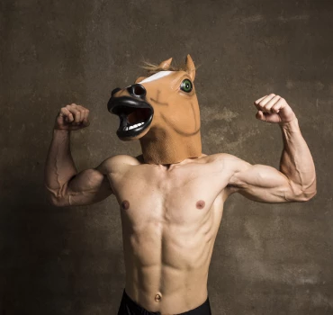 Ponyplay, Artikelbild
