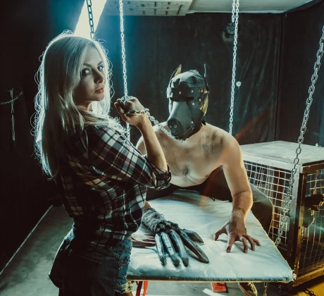 Petplay (Pet und Owner), Artikelbild