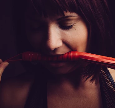 Lustschmerz (Pleasure Pain), Artikelbild