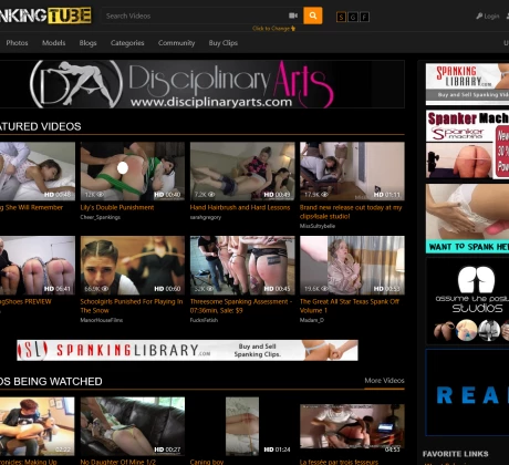 Spankingtube.com im Test: Pornos, Community & Funktionen, Artikelbild