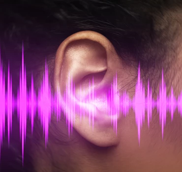 ASMR (Autonomous Sensory Meridian Response), Artikelbild