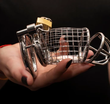 Keuschheitsgürtel, Artikelbild