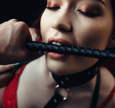 CNC (consentual non-consent), Artikelbild