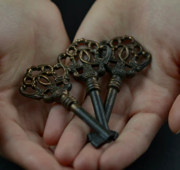 Triple Penetration (TP), Artikelbild