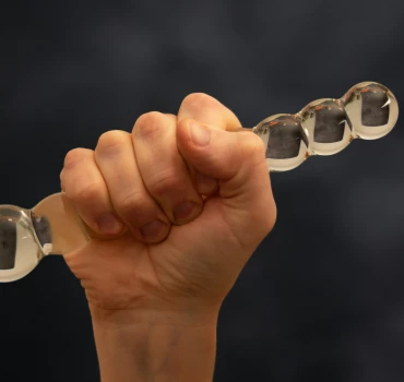 Dildos, Artikelbild