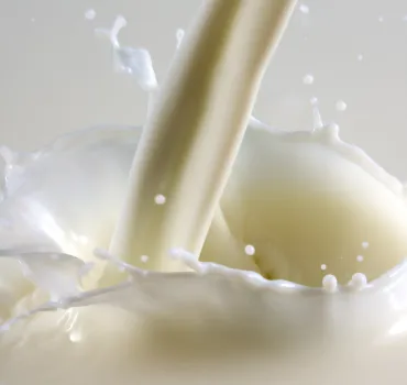 Abmelken, Artikelbild