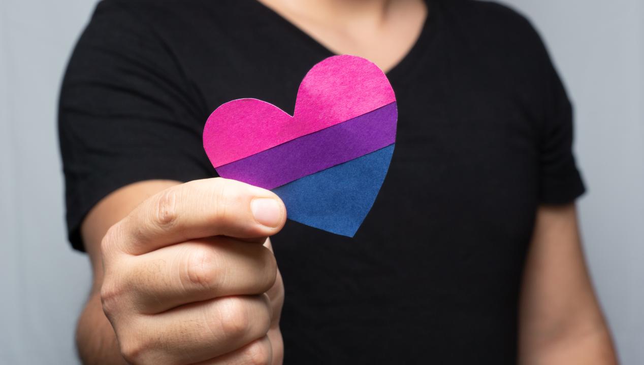 Bisexualität, Artikelbild