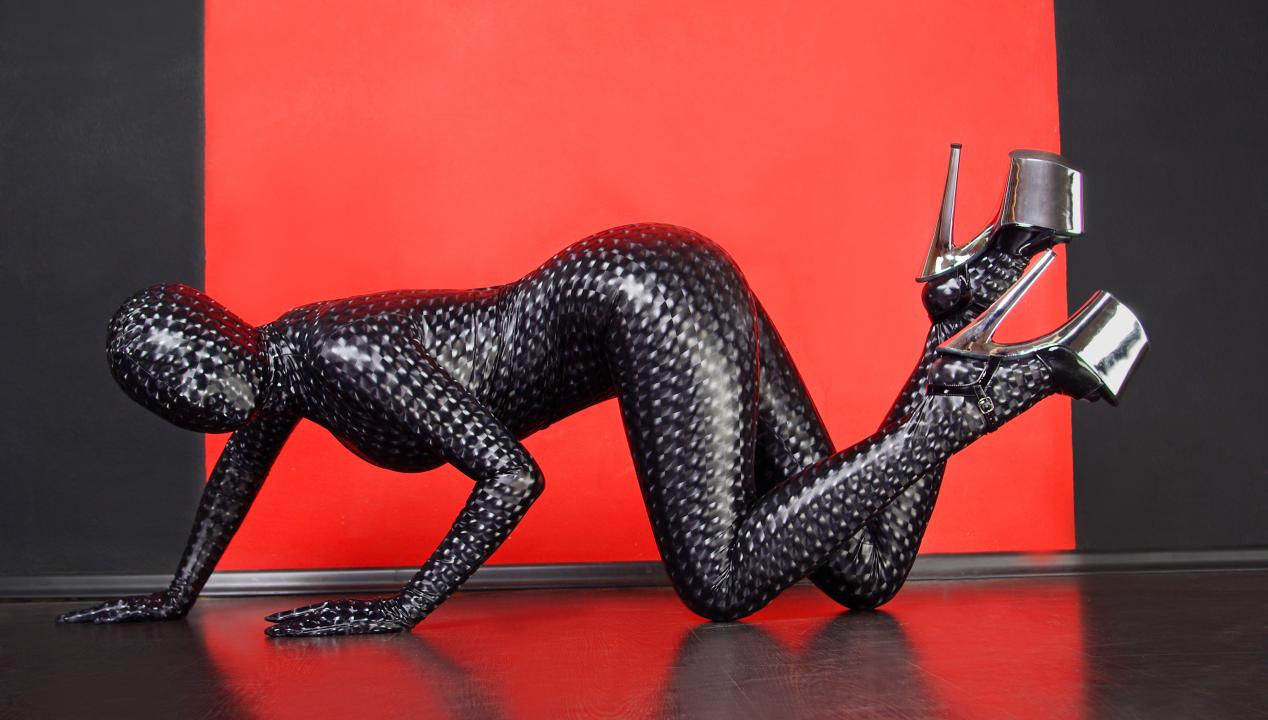 Zentai (Morphsuit), Artikelbild