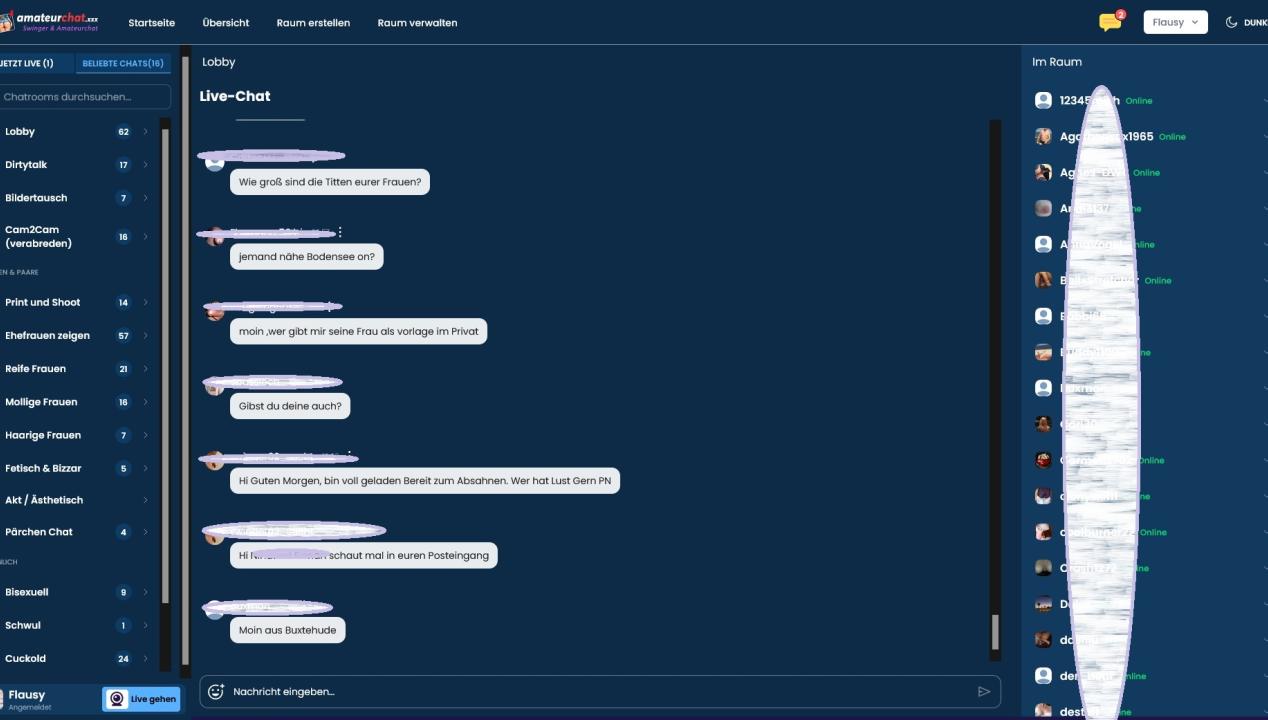 Screenshot Amateurpin.xxx Chat-Lobby